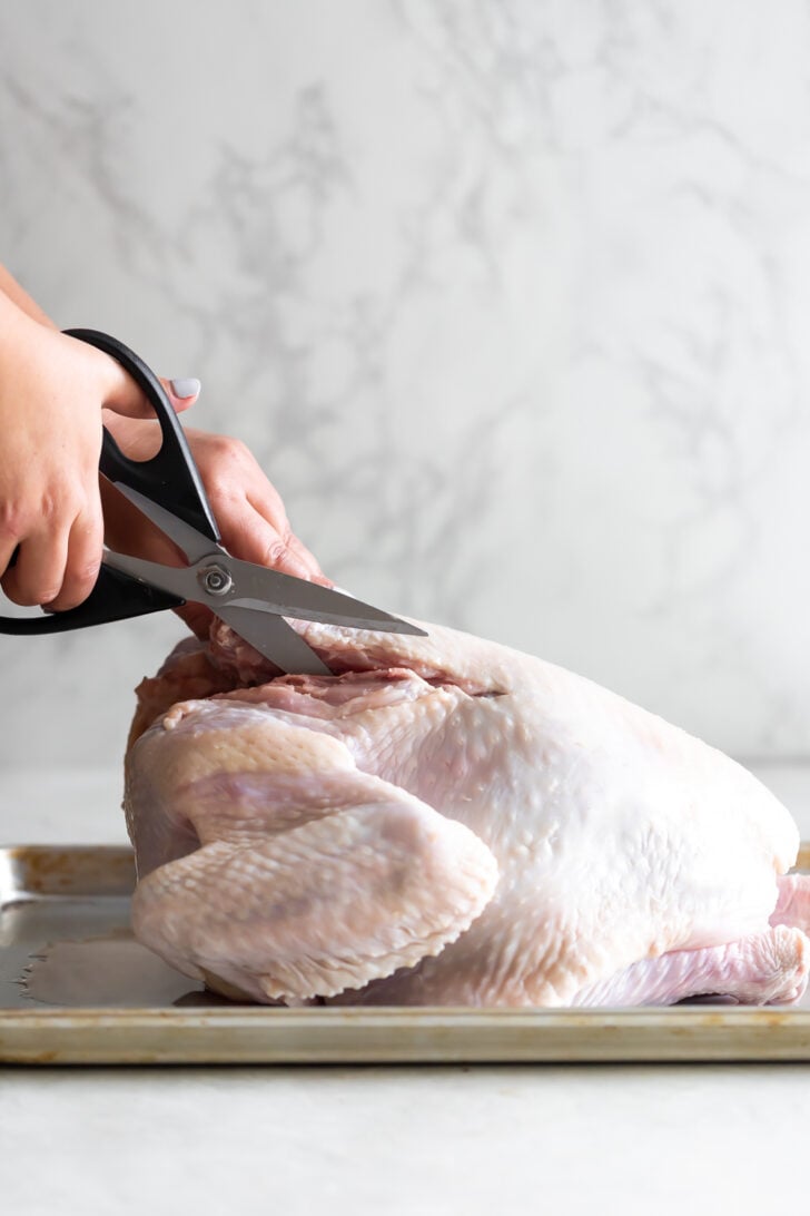 Raw whole chicken being cut with kitchen scissors on a tray.
