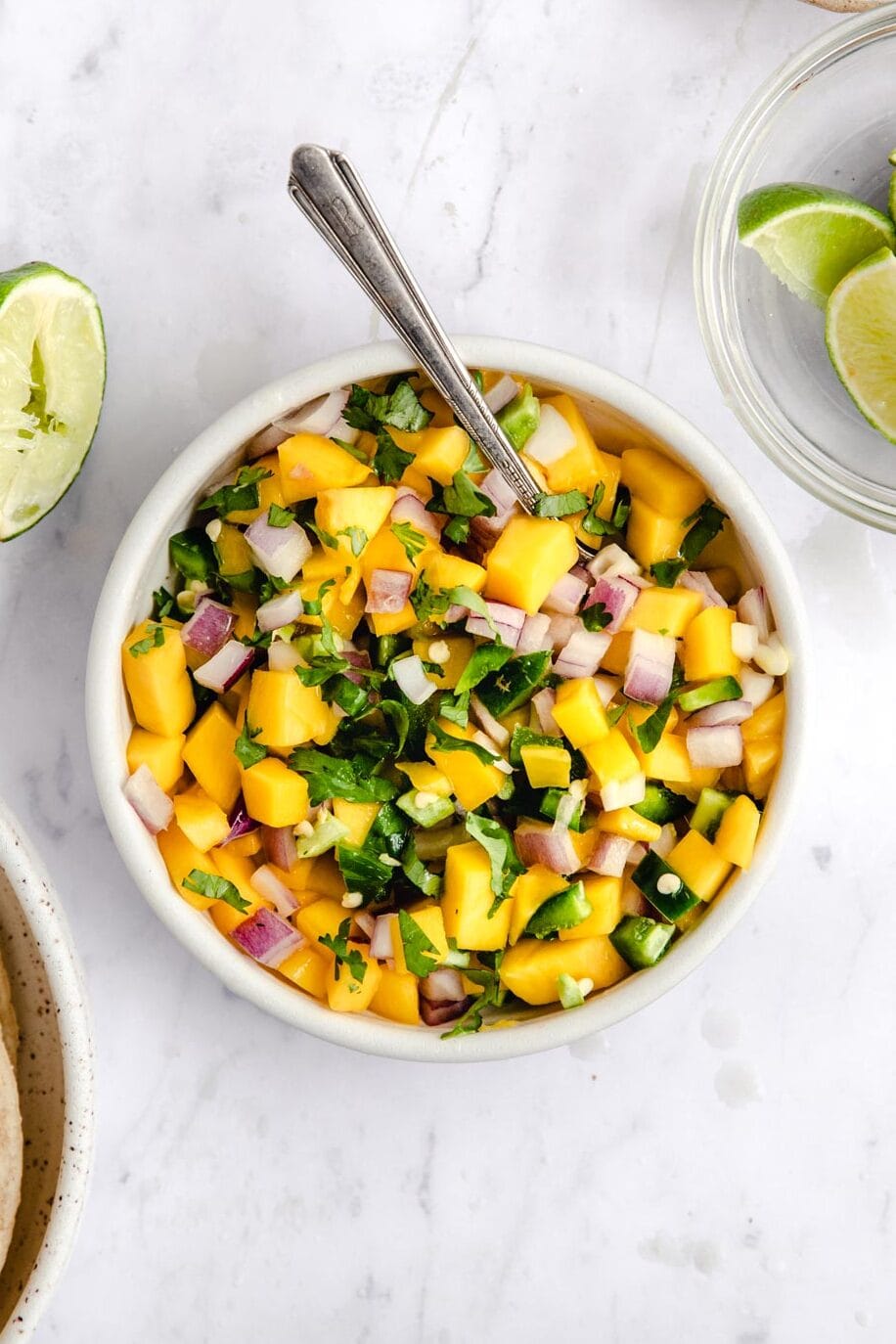 5-Ingredient Easy Mango Salsa Recipe - A Sassy Spoon